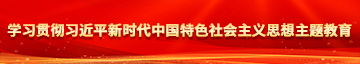 操逼网战学习贯彻习近平新时代中国特色社会主义思想主题教育